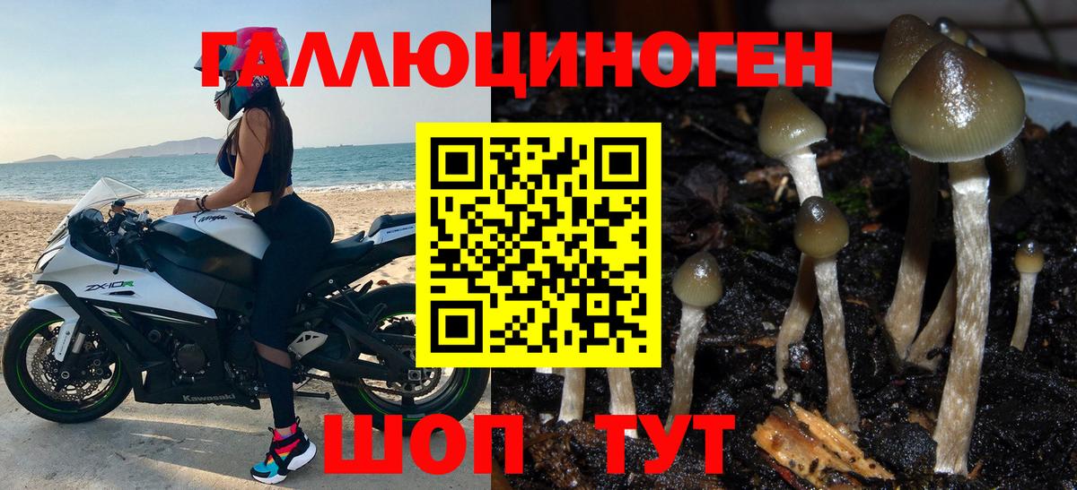 Чита  Галлюциногенные грибы Magic Shrooms  Псилоцибиновые грибы прущие грибы  Вход с VPN 